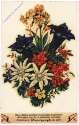 ak110532 Alpenblumen - Abziehkarte