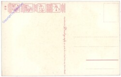 ak110532a Alpenblumen - Abziehkarte