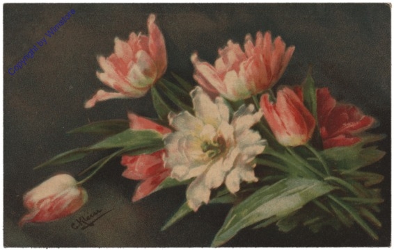 Tulpen