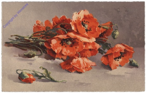 Mohnblumen