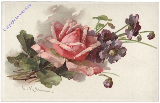 Rosen (rosa)