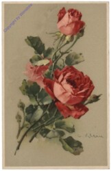 ak110560 Rosen (rot)