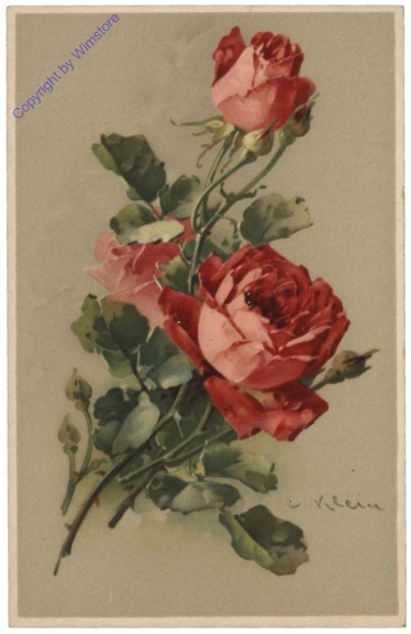 Rosen (rot)