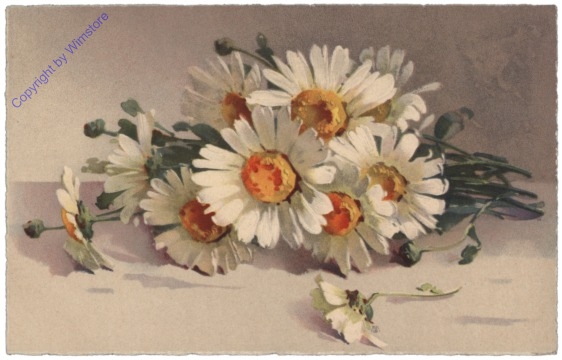 Margeriten
