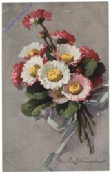 Gänseblümchen, Strauß
