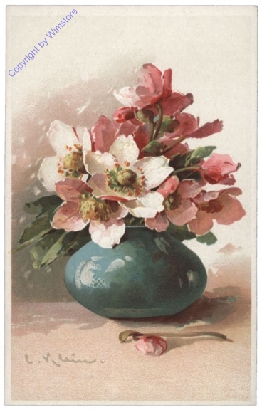 Christrosen in Vase