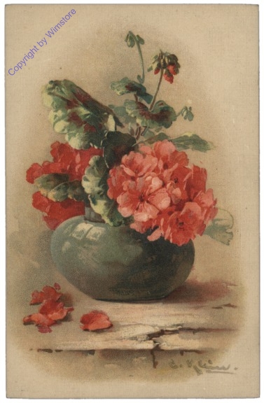 Geranien in Vase