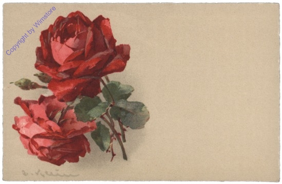 Rosen (rot)