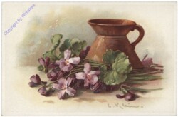 Veilchen und Vase