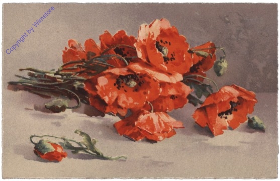 Mohnblumen