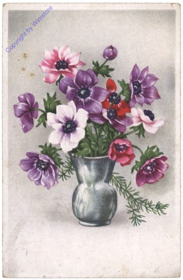 ak110609 Anemonen in Vase