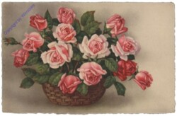 Rosen (rosa) im Korb