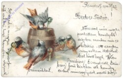 Schluckspechte