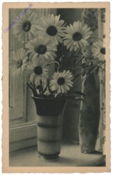 Margeriten in einer Vase