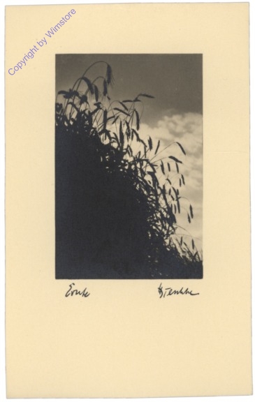 Ernte