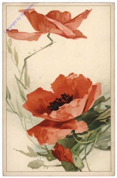 Mohnblumen