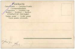 Mohnblumen