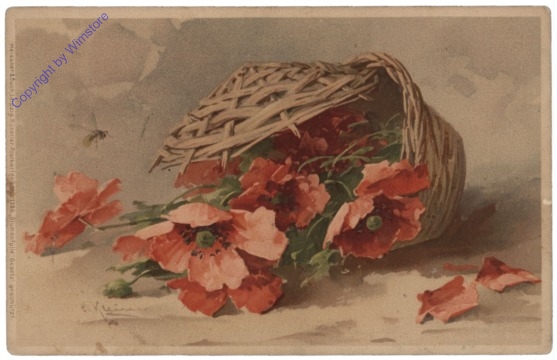 Mohnblumen