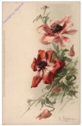 Blumen
