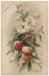 Blumen mit Pfirsichen