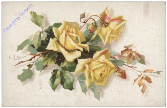 Rosen (gelb)