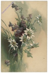 Glockenblumen und Edelweiss