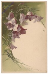 Glockenblume