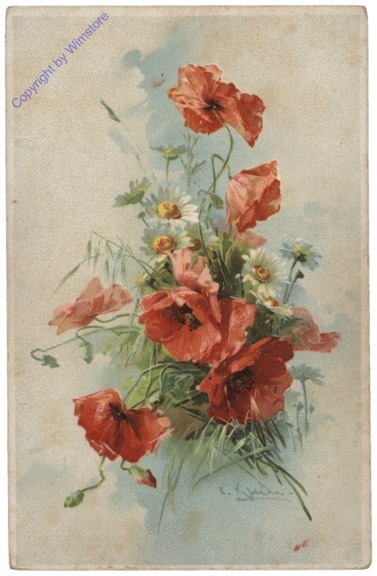 Mohnblumen