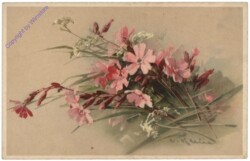 Wiesenblumen