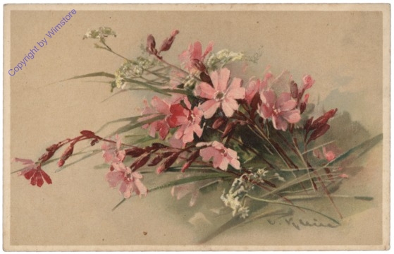 Wiesenblumen