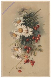 Margeriten und Hagebutten