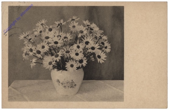 Margeriten in einer Vase