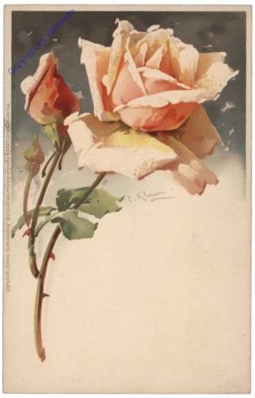 Rose (gelblich)