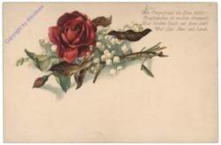 Rose mit Vers