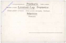 Veilchen