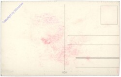 Zwei Buben schenken einem Mädchen eine Blume