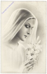 ak110848 Madonna mit Blume
