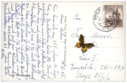 Grieskirchen, Inneres der Kirche