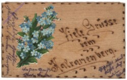 Feldpostkarte auf Birkenrinde mit Vergissmeinnicht
