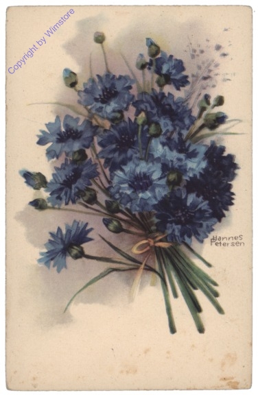 Blaue Anemonen