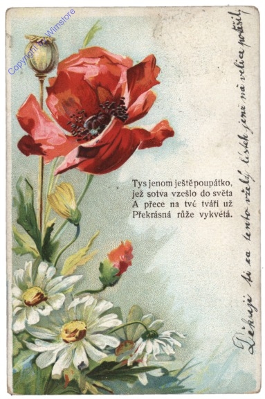 Mohnblumen, Vers