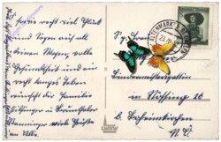 Bub mit Blumen, Namenstag