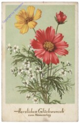 Blumen, Namenstag
