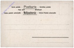 Dame mit zerzausten Haaren