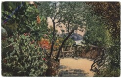 Monaco, Les Jardins exotiques