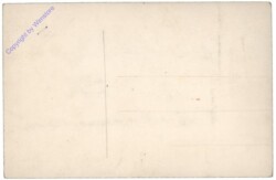 Ansicht mit Burg und Baum