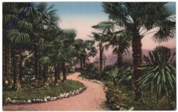Palmengarten