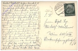 Zillertaler Bauer