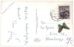 Aflenz, Multiansicht