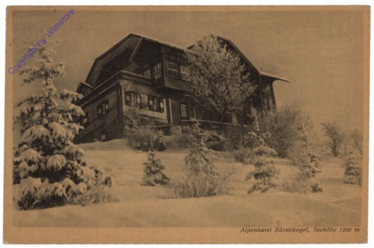 Langenwang, Alpenhotel Bärenkogel